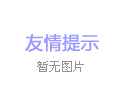大流量高揚程淘金泵，耐磨合金材質，適配多種動力源，助力高效淘金